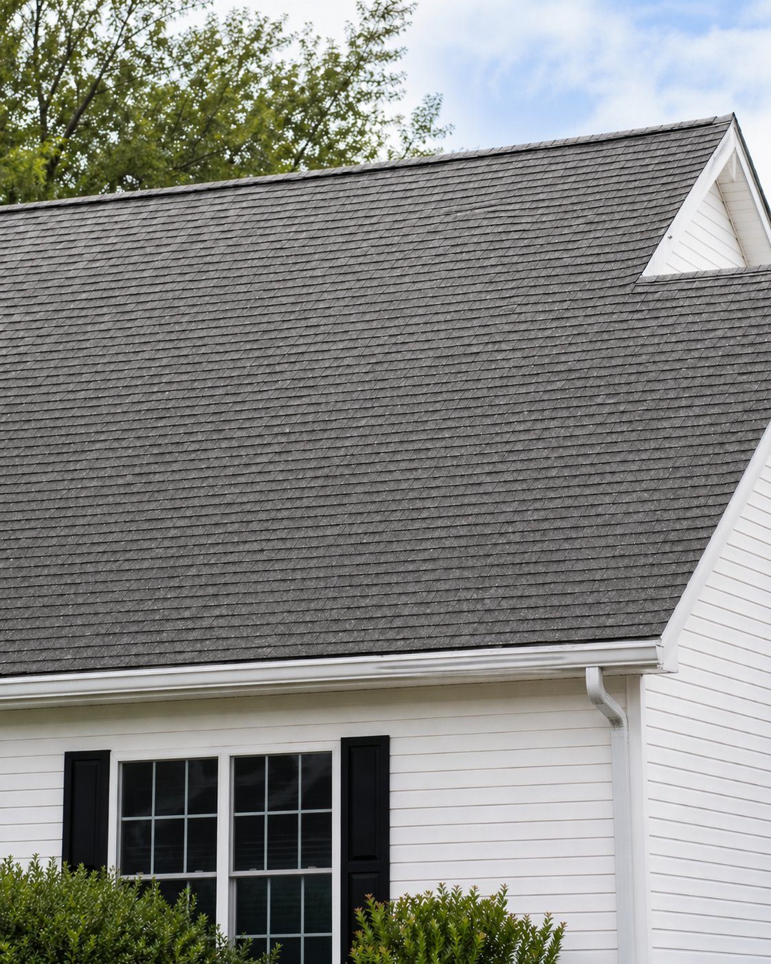 Roof after soft wash — black streaks removed from shingles