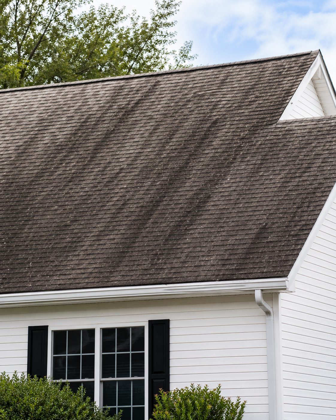 Roof before cleaning — dark algae streaks on shingles